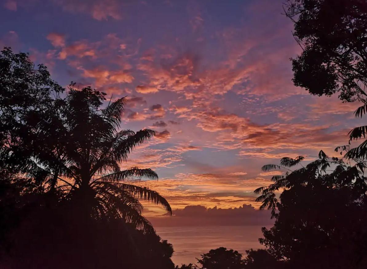 Mizaru Ocean View Hotel Manuel Antonio Quepos Buitenkant foto